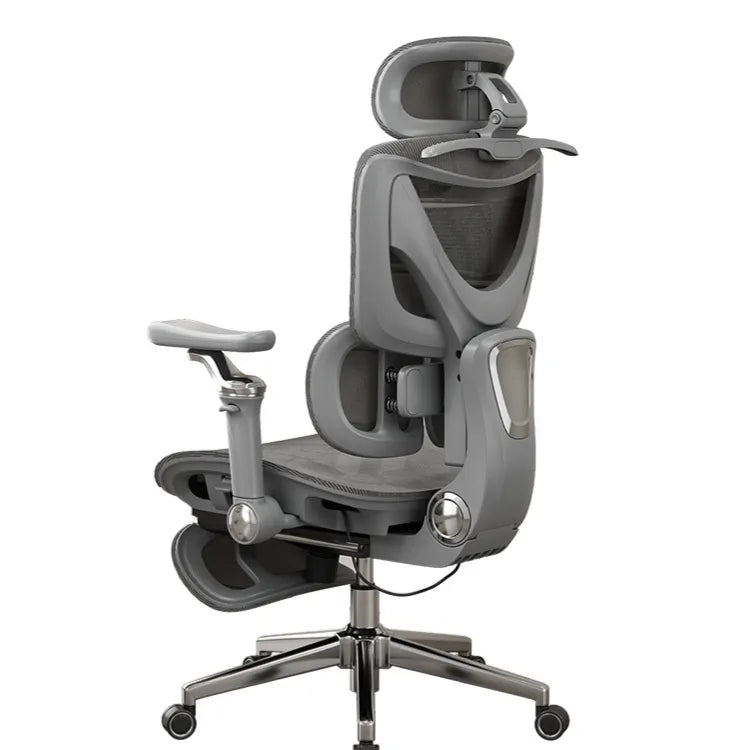 Ergonomic Office Chair with Lumbar Support